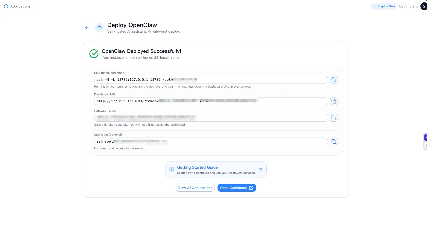 BrainHost OpenClaw Success